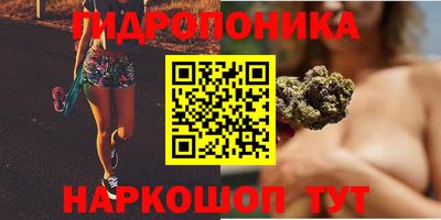 ECSTASY Аргун