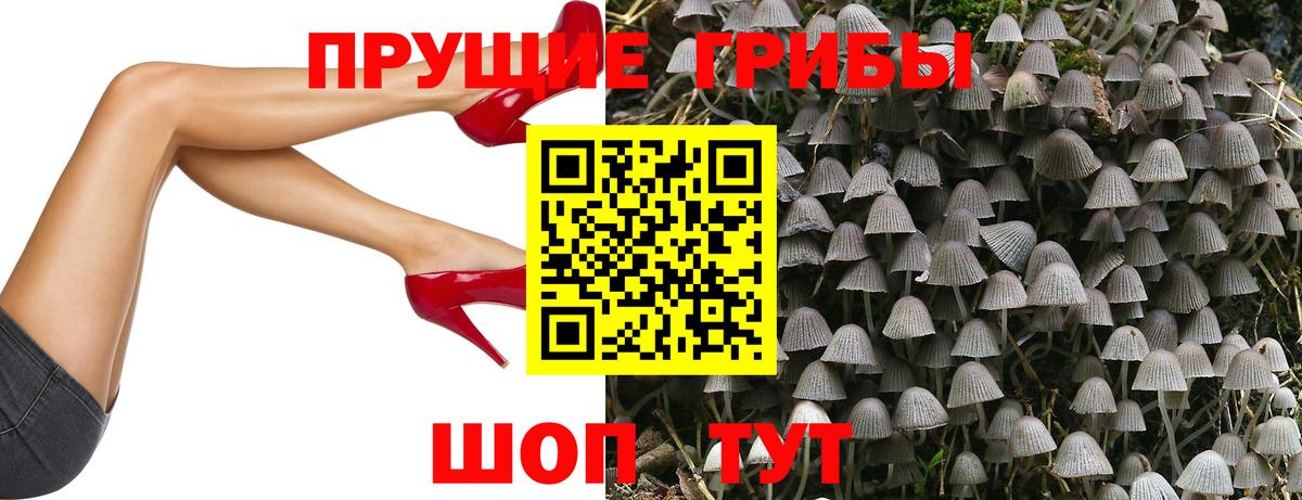 Галлюциногенные грибы Magic Shrooms Бор