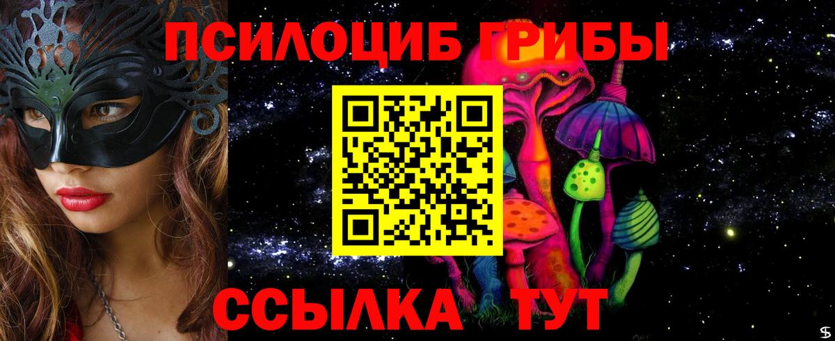 Бор  Галлюциногенные грибы мухоморы  Вход с VPN 